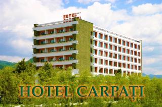 Hotel Carpati - Baia Mare - 9