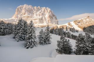 Hotel Sella***s - Sëlva - 5