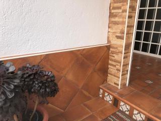 Teide - Icod de los Vinos - 2