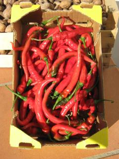 B & B OASI - Rosciano - 9