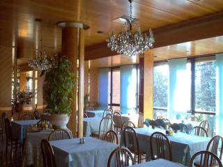 Hotel Pineta - 4