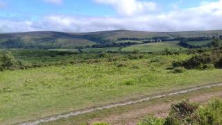 Myrtle Cottage B&B - Porlock - 4