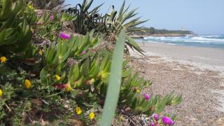 La casetta celeste - 5