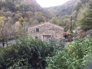 Mas Graffouil - Prats-de-Mollo-la-Preste - 1
