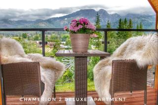 Polana Szymoszkowa Ski Resort - Chamerion Apartments - 9
