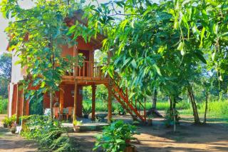 Sigiriya Free View Tree House & Villa - Sigiriya - 8