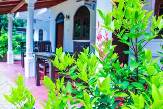 Lotus Villa - Mirissa - 2