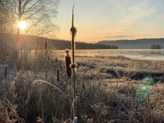 Kullerbacka Gästhus - 2