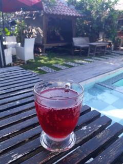 Arjuna Garden Homestay - Yogyakarta - 9