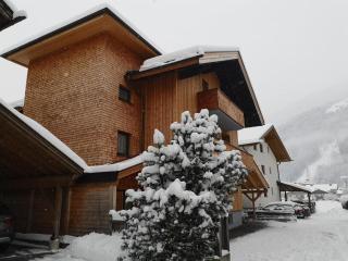 Apartment Rauch - Zell am Ziller - 1