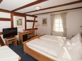 Hotel Engel - Rheinmunster - 1