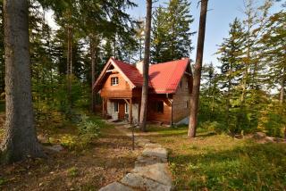 Leśny Domek koło Karpacza - Apartamentuj - Karpacz - 7