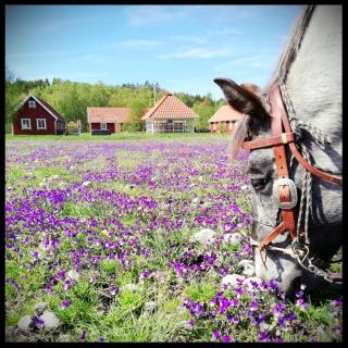 Hagbards By Gårdspensionat - Slöinge - 1