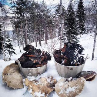 Vlasinski vrtovi - 7