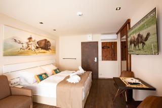 Residence Safari Resort - Bison Lodge - Borovany - 3