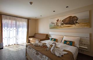 Residence Safari Resort - Bison Lodge - Borovany - 4