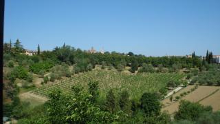 Hotel Certosa Di Maggiano - Siena - 3
