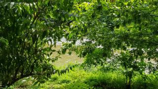 FARE BnB - casetta sul fiume in città - Reggio Emilia - 3