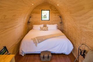 Antares Homestay - Renwick - 0