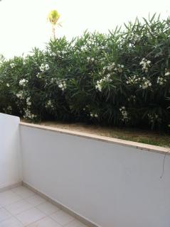 Sidari Beach Hotel - Sidari - 9