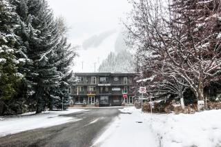 Sun Bird Getaway - Ketchum - 3