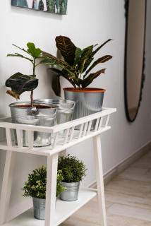 San Juan Fresh Flat - Telde - 3