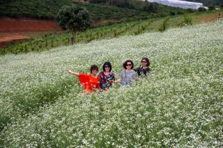 My Anh Guest House - 8