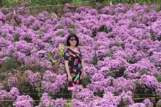 My Anh Guest House - 7