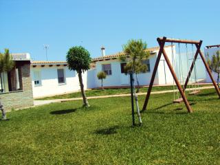 Entre Pinos - 9