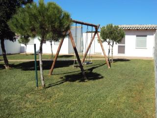 Entre Pinos - 4