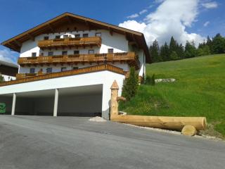 Berggasthof Bliembauer - Altenmarkt im Pongau - 2