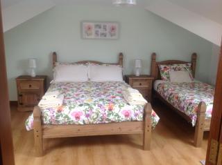 The Rock Equestrian Farm B&B - Bailieborough - 8