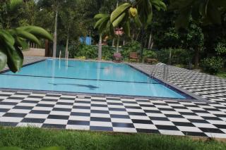 The Grand Yala Hotel - 9