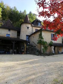 Stargazer - Saint-Chamassy - 8