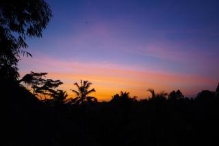 BALI BAMBOO JUNGLE HUTS AND HOSTEL - Tampaksiring - 1