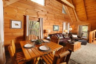 Cabin Fever - 4