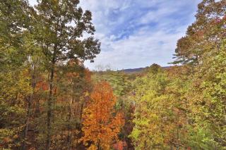 Cabin Fever - 2