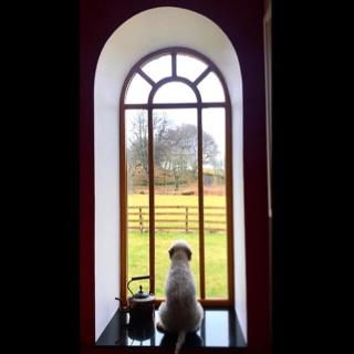 Castleview @ Newton Steading Farm - 8