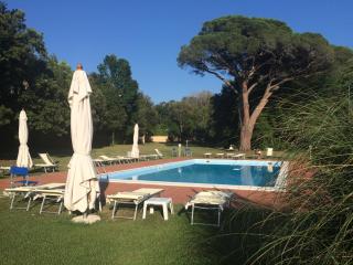 La Luna nel bosco - Livorno - 8