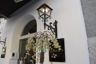 Atel Hotel Lasserhof - Salisburgo - 9