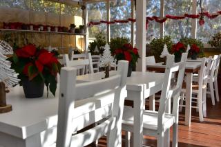 Casa Martini - Rome - 3