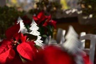 Casa Martini - Rome - 2