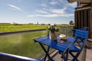 Deichknutt Watt - Juist - 1