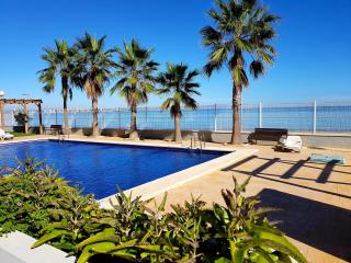 Esparto - La Manga del Mar Menor - 9
