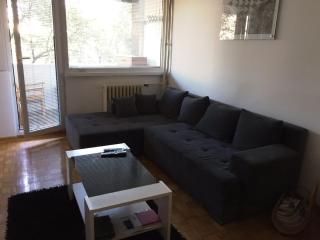 Modern and cozy place near the city center - Belgrado - 6