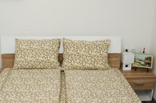 Apartmani Bojana - Vrdnik - 4