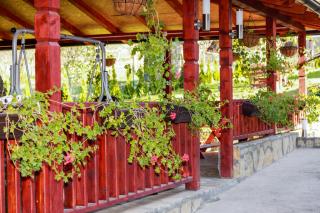 Apartmani Bojana - Vrdnik - 8