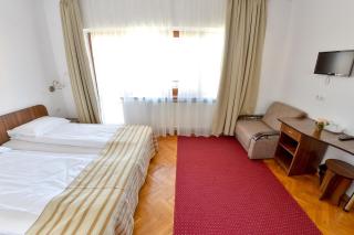 Pension Alexia - Sibiu - 1