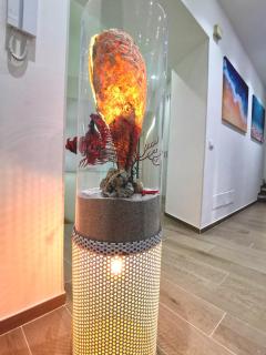 Betta splendens - Palermo - 5