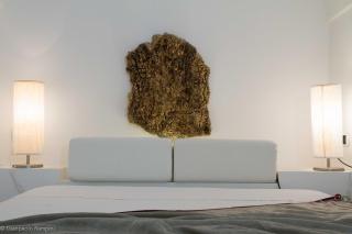 2 Gatti - Sogno - Pantelleria - 3